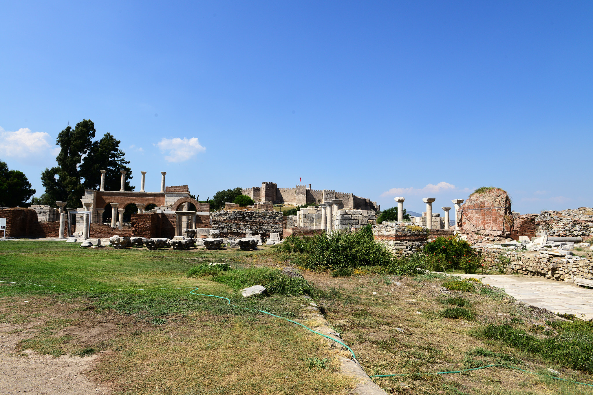 590 셀축 셀수스 도서관